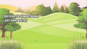 Детальніше про статтю Догляд за кімнатними квітами влітку