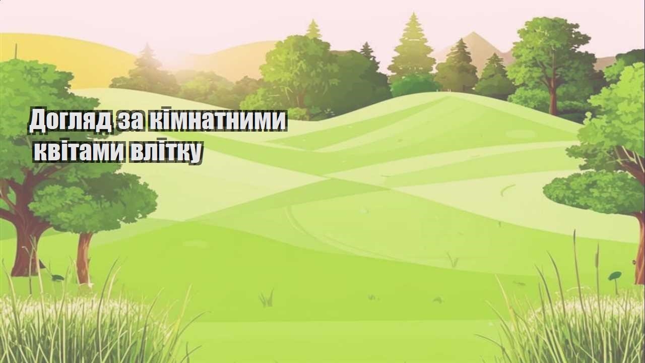 Детальніше про статтю Догляд за кімнатними квітами влітку