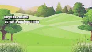 Детальніше про статтю Клумба своїми руками для новачків