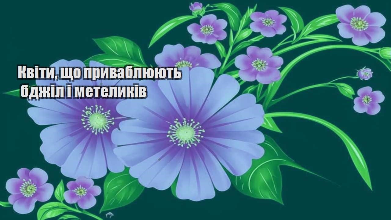 Детальніше про статтю Квіти, що приваблюють бджіл і метеликів