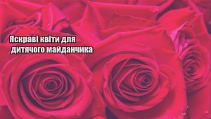 Детальніше про статтю Яскраві квіти для дитячого майданчика