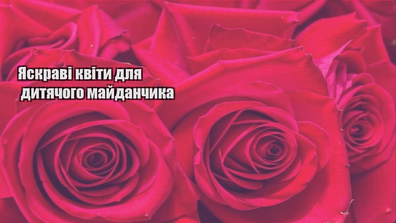 Ви зараз переглядаєте Яскраві квіти для дитячого майданчика