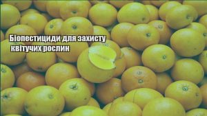Детальніше про статтю Біопестициди для захисту квітучих рослин