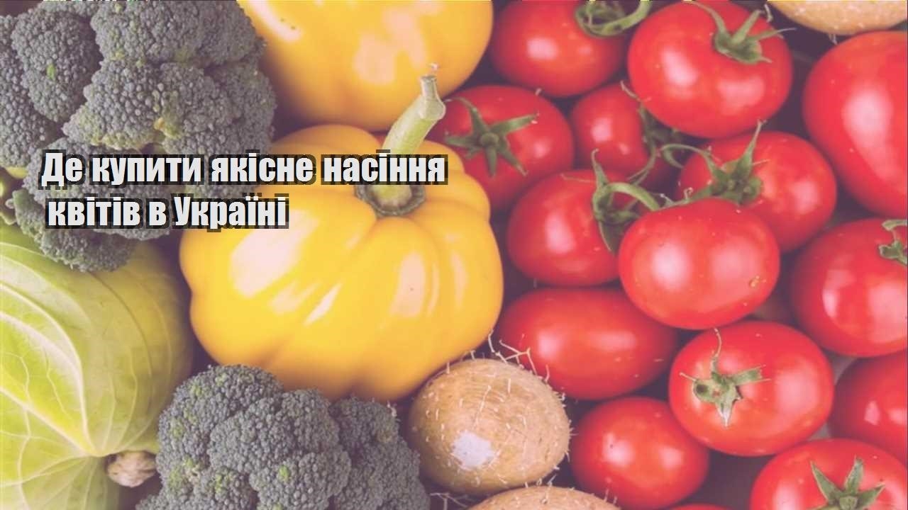 Детальніше про статтю Де купити якісне насіння квітів в Україні