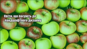 Детальніше про статтю Квіти, що пасують до ландшафтного дизайну