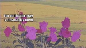 Детальніше про статтю Топ квітів для саду у сільському стилі