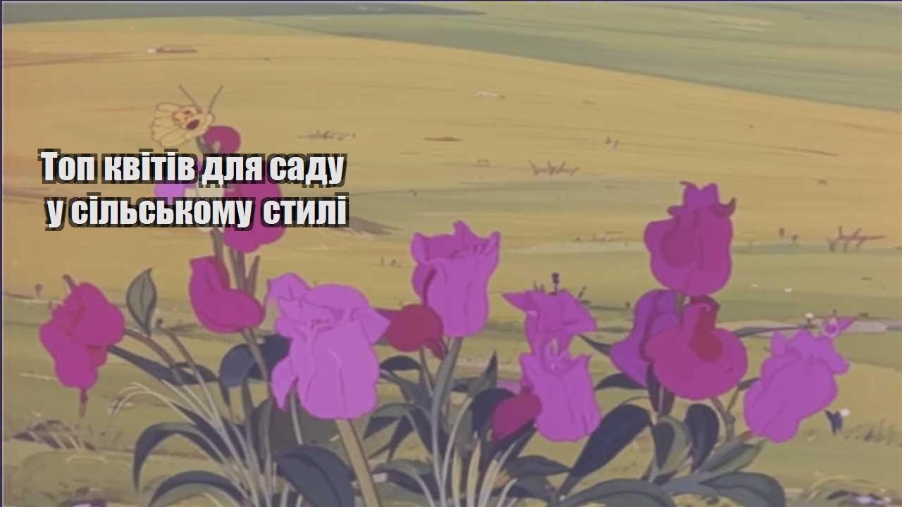 Детальніше про статтю Топ квітів для саду у сільському стилі