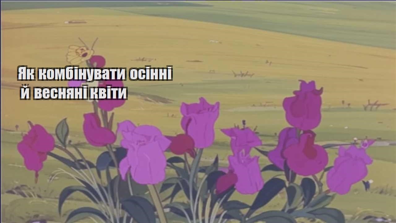 Ви зараз переглядаєте Як комбінувати осінні й весняні квіти