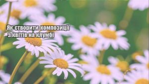 Детальніше про статтю Як створити композиції з квітів на клумбі