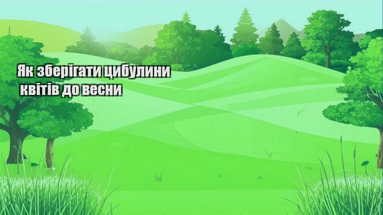 Детальніше про статтю Як зберігати цибулини квітів до весни