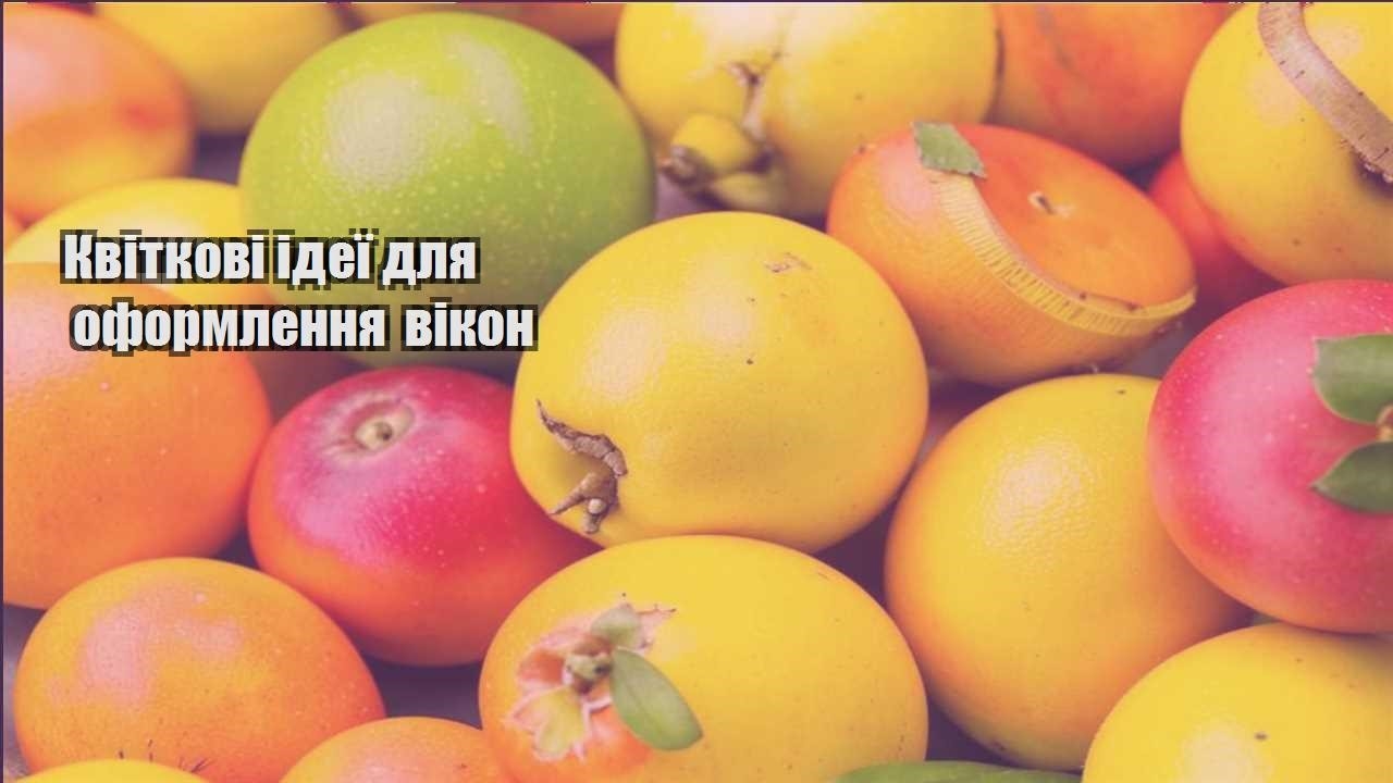Ви зараз переглядаєте Квіткові ідеї для оформлення вікон