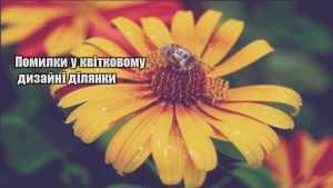 Детальніше про статтю Помилки у квітковому дизайні ділянки