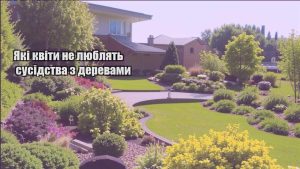 Детальніше про статтю Які квіти не люблять сусідства з деревами