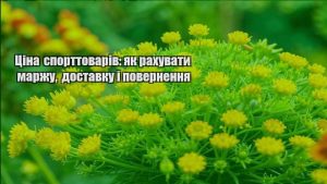 Детальніше про статтю Ціна спорттоварів: як рахувати маржу, доставку і повернення