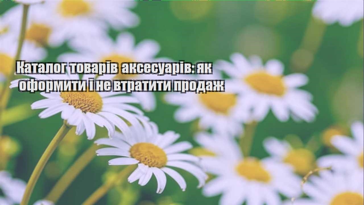 Детальніше про статтю Каталог товарів аксесуарів: як оформити і не втратити продаж