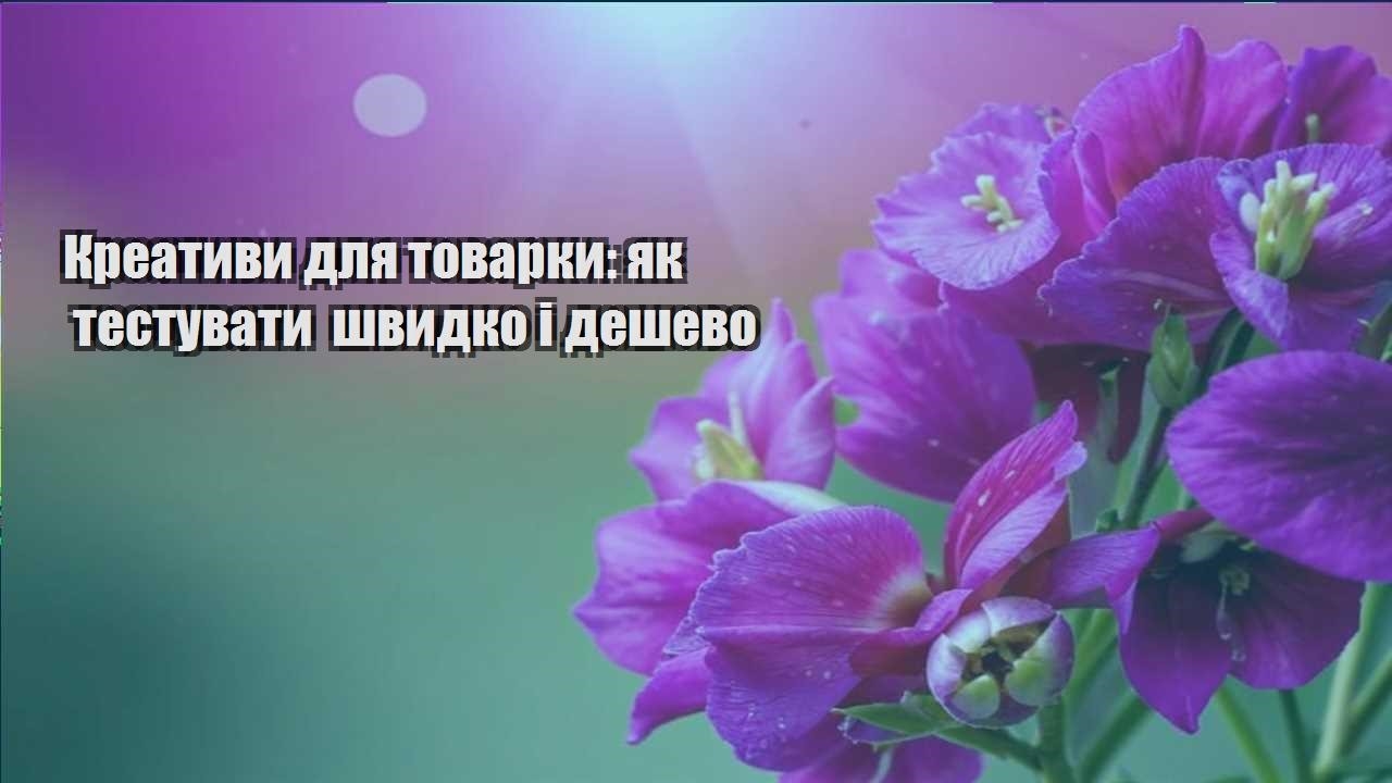 Детальніше про статтю Креативи для товарки: як тестувати швидко і дешево