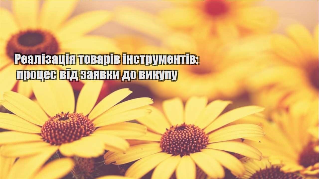 Детальніше про статтю Реалізація товарів інструментів: процес від заявки до викупу