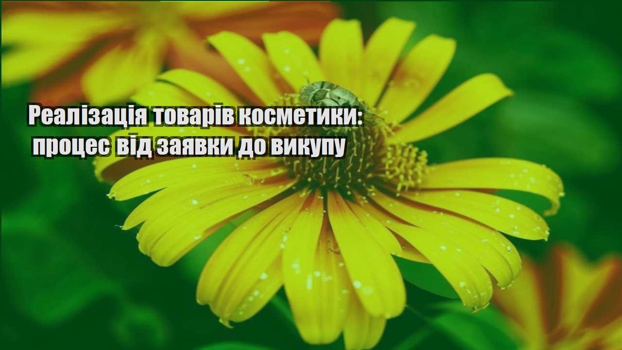Детальніше про статтю Реалізація товарів косметики: процес від заявки до викупу