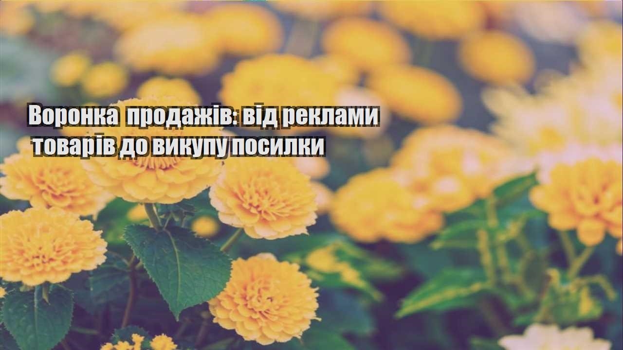 Детальніше про статтю Воронка продажів: від реклами товарів до викупу посилки