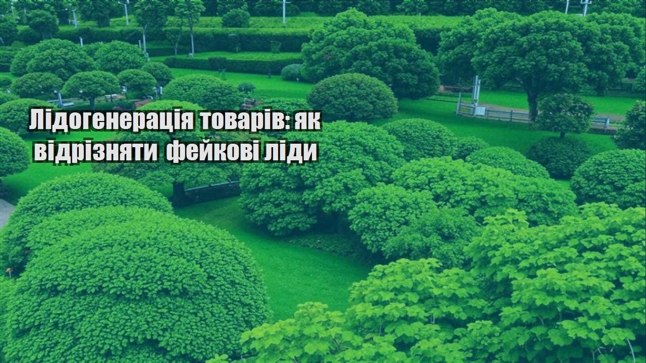 Детальніше про статтю Лідогенерація товарів: як відрізняти фейкові ліди