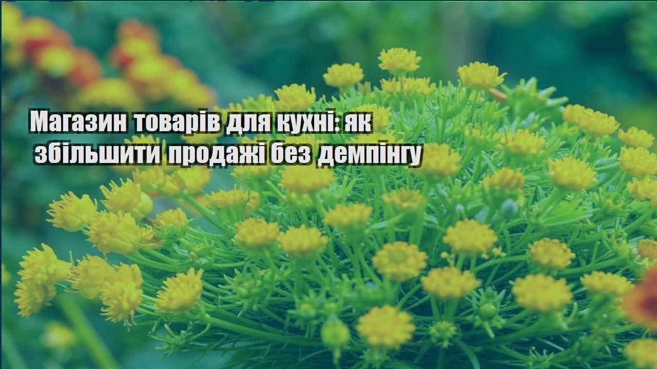 Детальніше про статтю Магазин товарів для кухні: як збільшити продажі без демпінгу