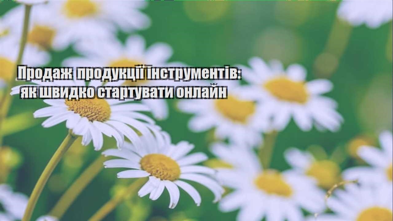 Детальніше про статтю Продаж продукції інструментів: як швидко стартувати онлайн