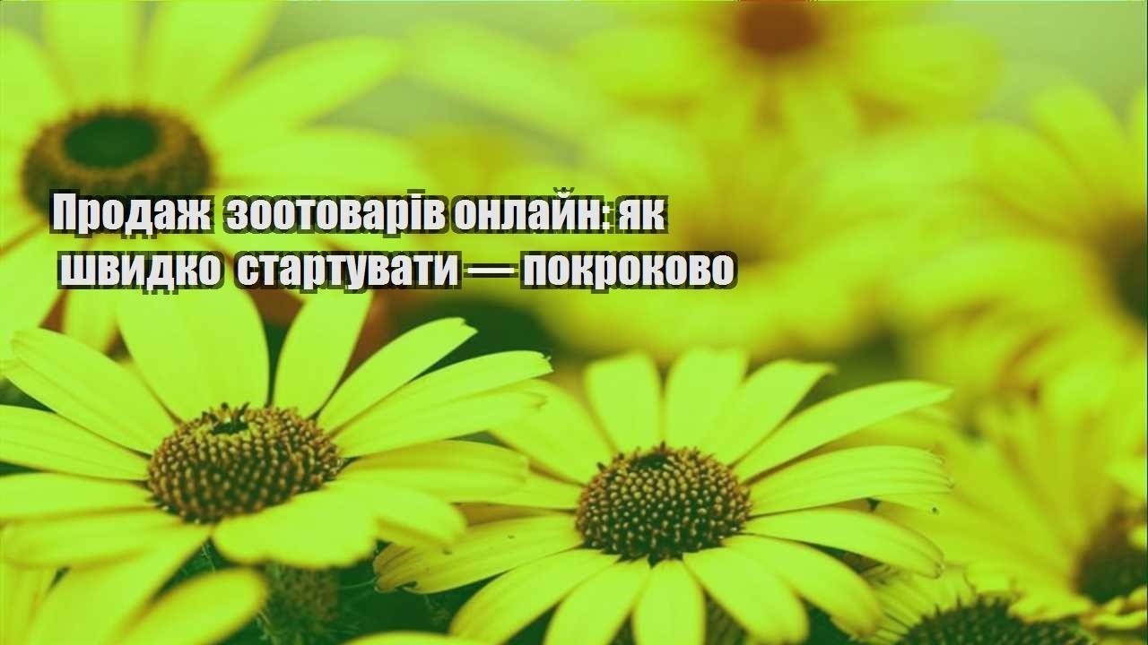 Детальніше про статтю Продаж зоотоварів онлайн: як швидко стартувати — покроково