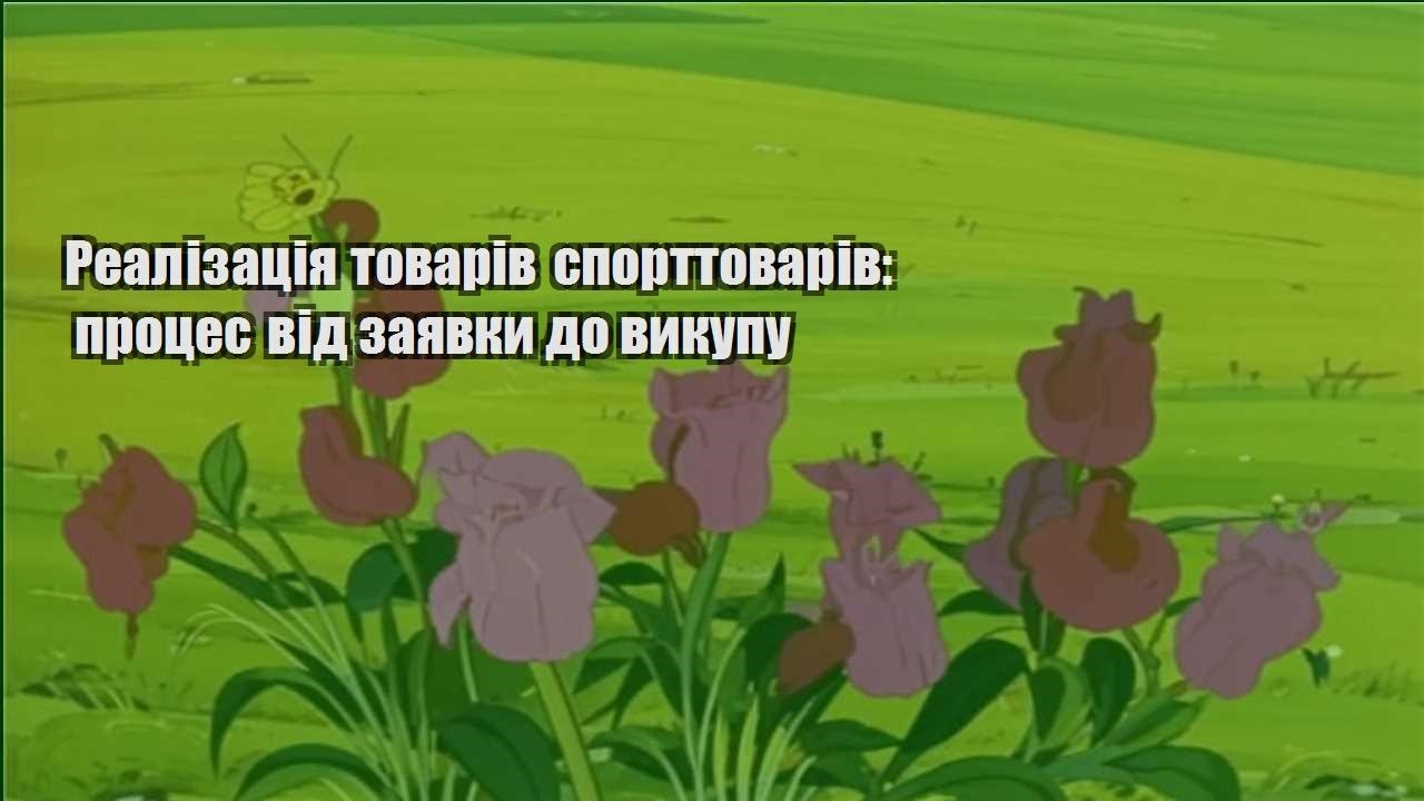 Детальніше про статтю Реалізація товарів спорттоварів: процес від заявки до викупу