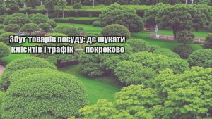 Детальніше про статтю Збут товарів посуду: де шукати клієнтів і трафік — покроково