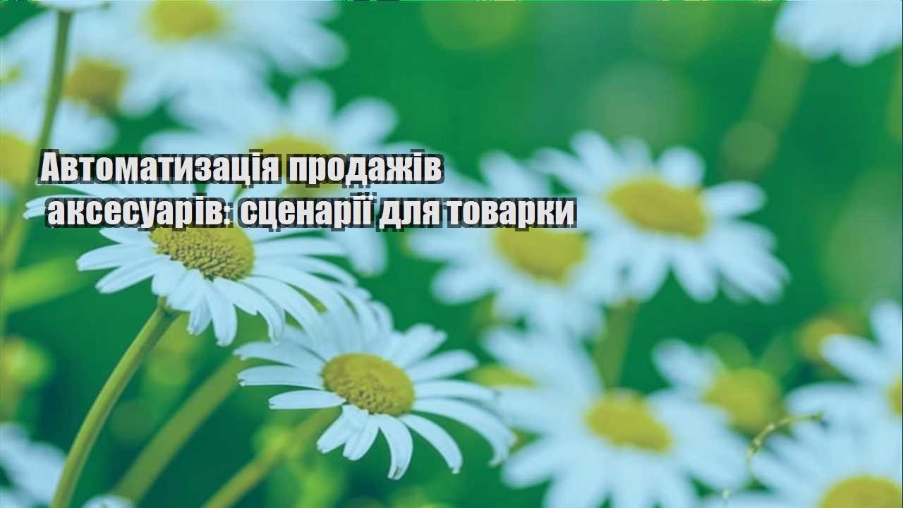 Детальніше про статтю Автоматизація продажів аксесуарів: сценарії для товарки