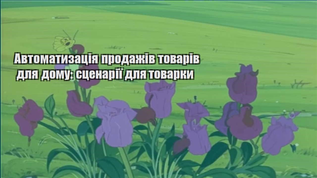 Детальніше про статтю Автоматизація продажів товарів для дому: сценарії для товарки