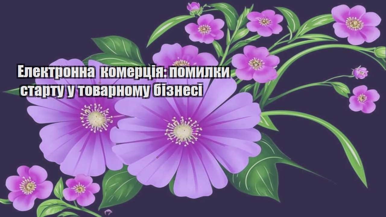 Детальніше про статтю Електронна комерція: помилки старту у товарному бізнесі