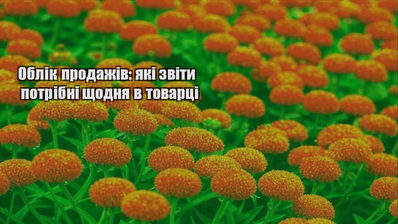Детальніше про статтю Облік продажів: які звіти потрібні щодня в товарці
