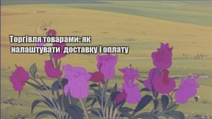Детальніше про статтю Торгівля товарами: як налаштувати доставку і оплату