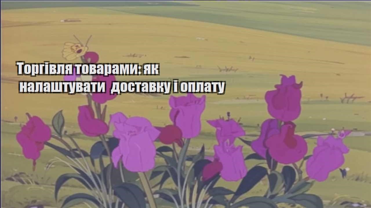 Детальніше про статтю Торгівля товарами: як налаштувати доставку і оплату