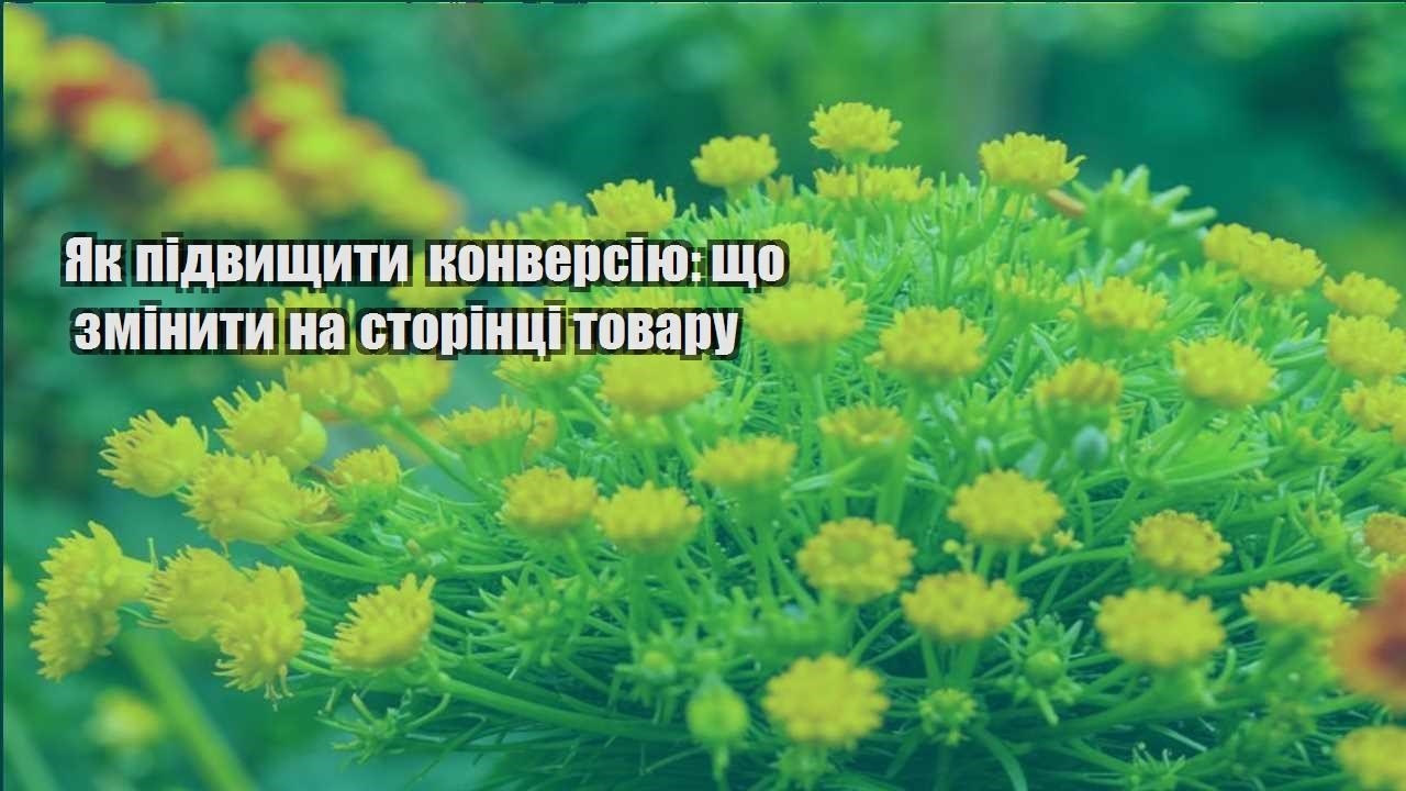 Детальніше про статтю Як підвищити конверсію: що змінити на сторінці товару