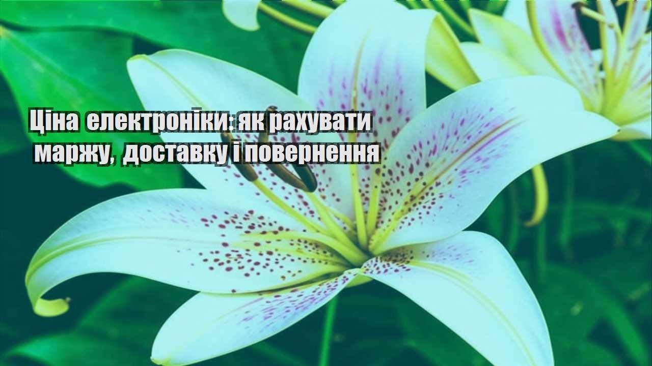 Детальніше про статтю Ціна електроніки: як рахувати маржу, доставку і повернення