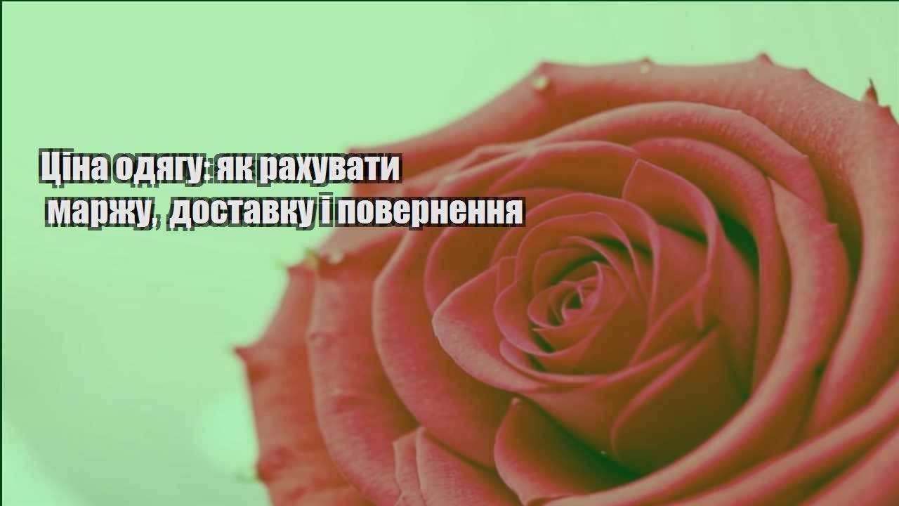 Детальніше про статтю Ціна одягу: як рахувати маржу, доставку і повернення