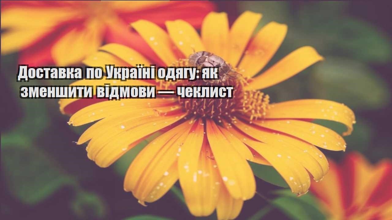 Детальніше про статтю Доставка по Україні одягу: як зменшити відмови — чеклист