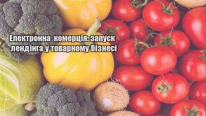 Детальніше про статтю Електронна комерція: запуск лендінга у товарному бізнесі