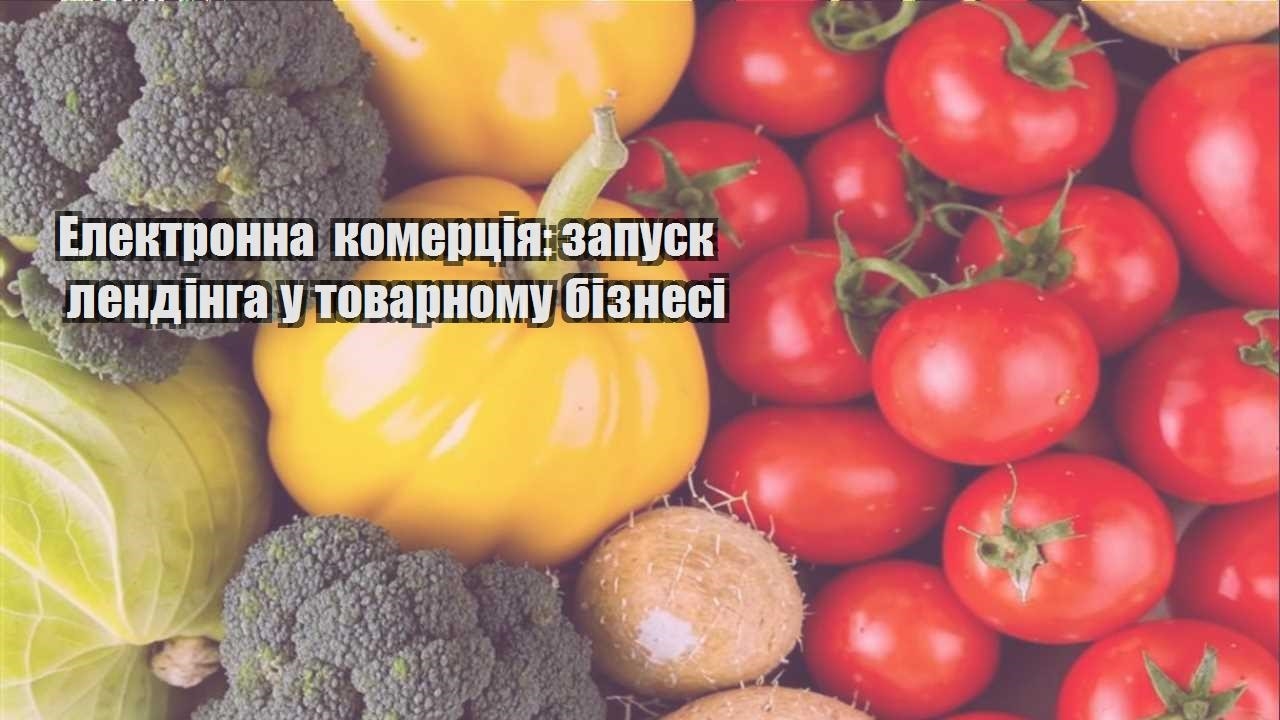 Детальніше про статтю Електронна комерція: запуск лендінга у товарному бізнесі