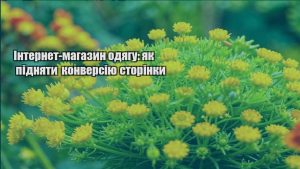 Детальніше про статтю Інтернет-магазин одягу: як підняти конверсію сторінки