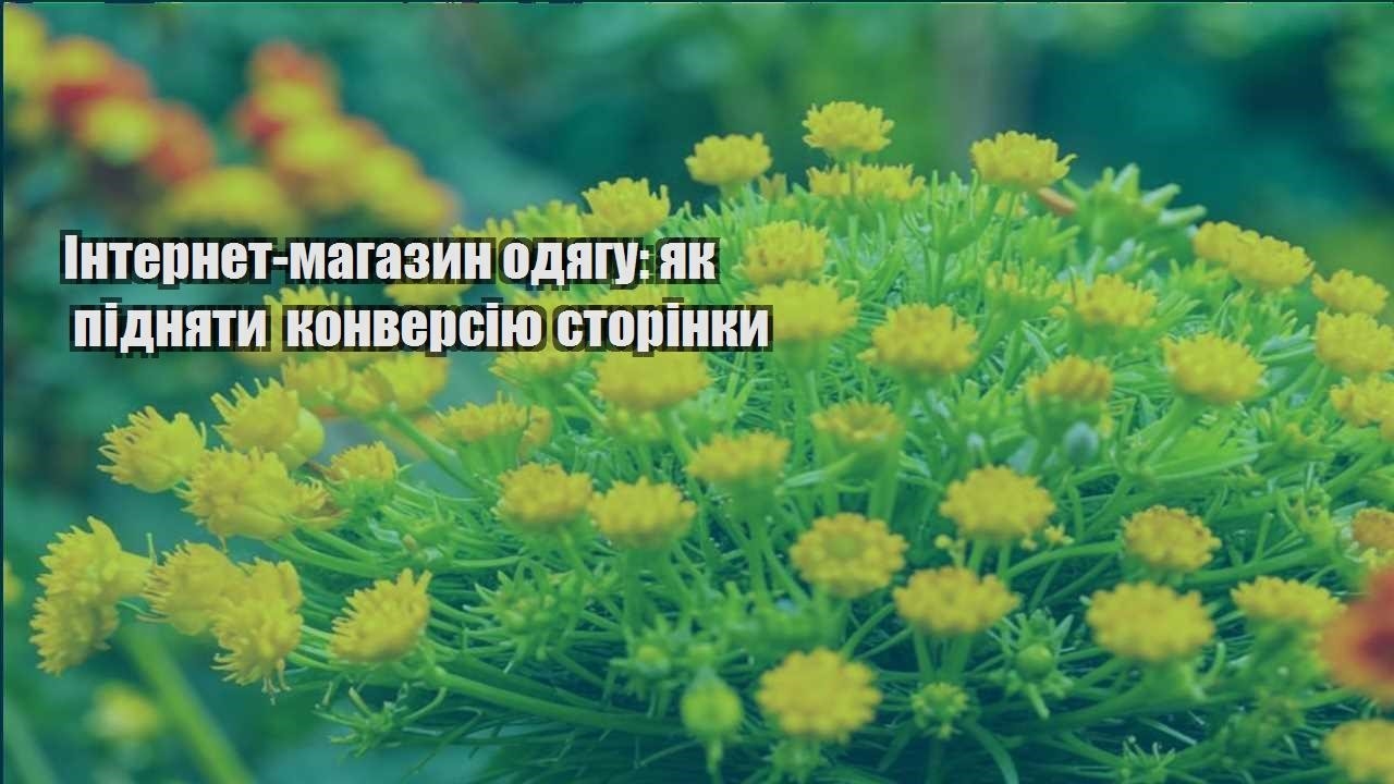 Детальніше про статтю Інтернет-магазин одягу: як підняти конверсію сторінки