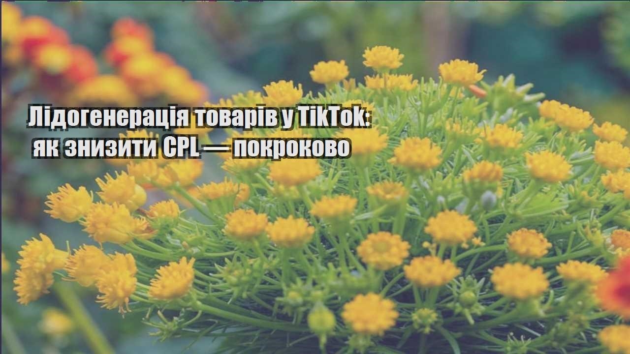 Детальніше про статтю Лідогенерація товарів у TikTok: як знизити CPL — покроково