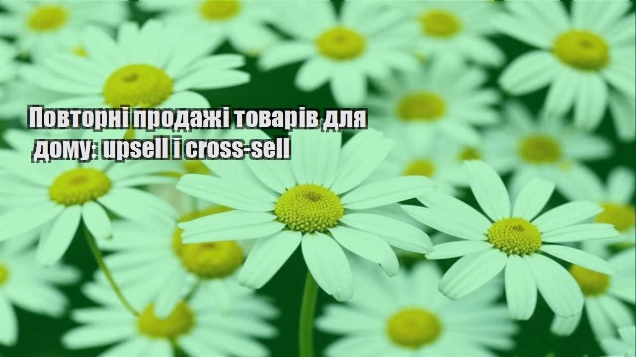 Детальніше про статтю Повторні продажі товарів для дому: upsell і cross-sell