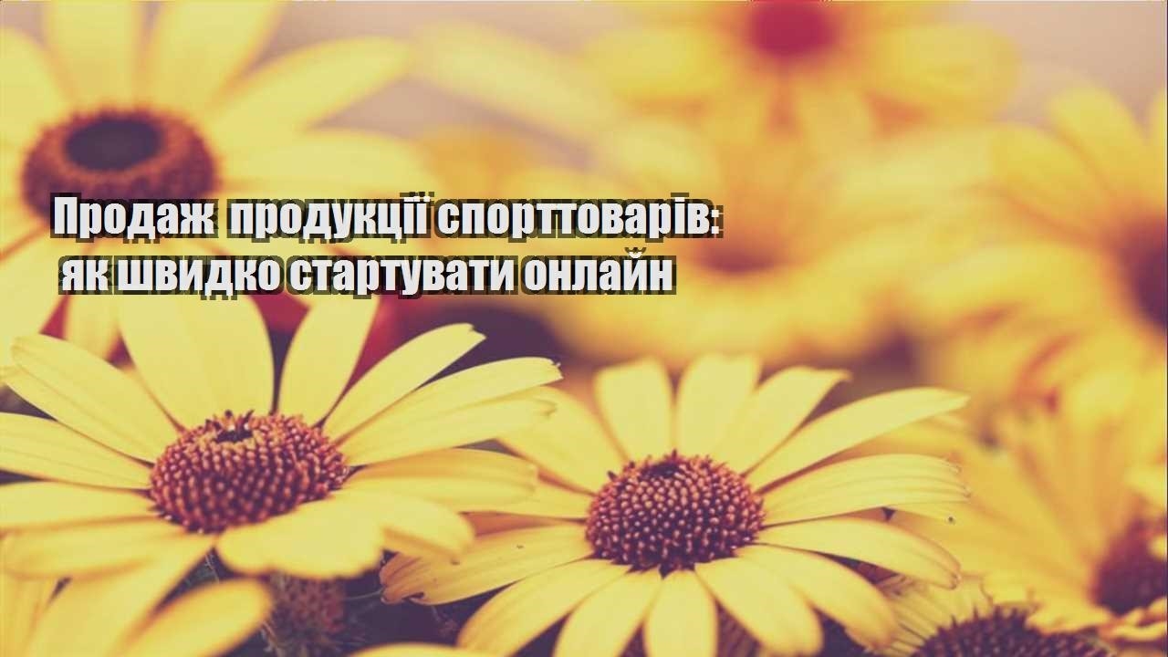 Детальніше про статтю Продаж продукції спорттоварів: як швидко стартувати онлайн