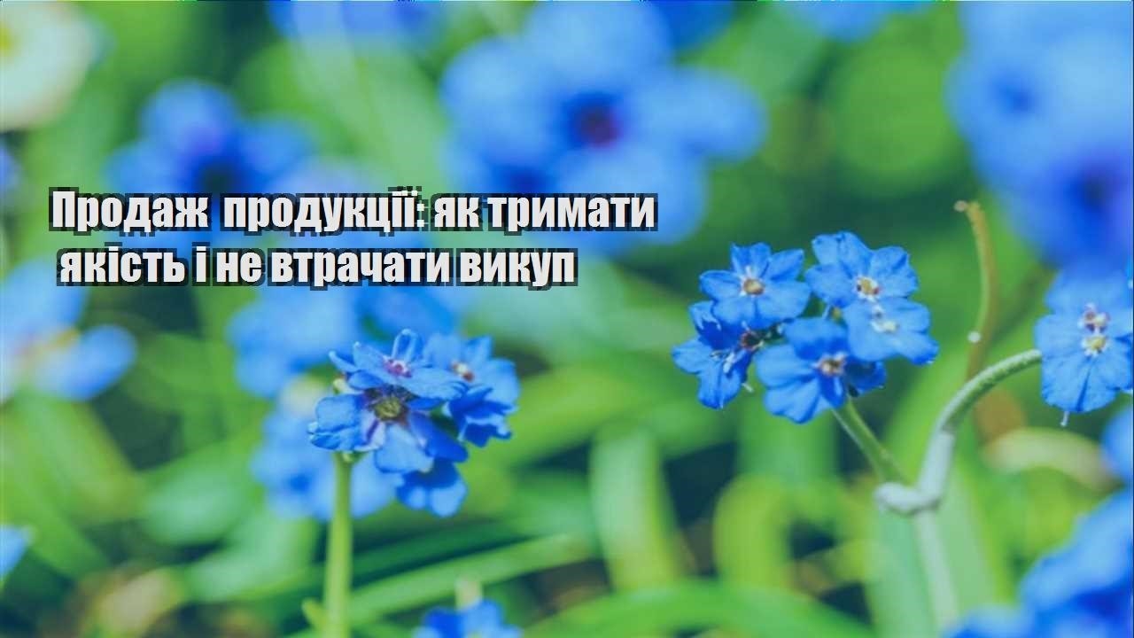 Детальніше про статтю Продаж продукції: як тримати якість і не втрачати викуп