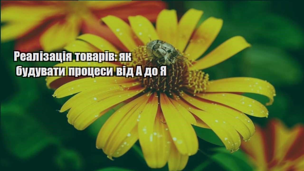Детальніше про статтю Реалізація товарів: як будувати процеси від А до Я