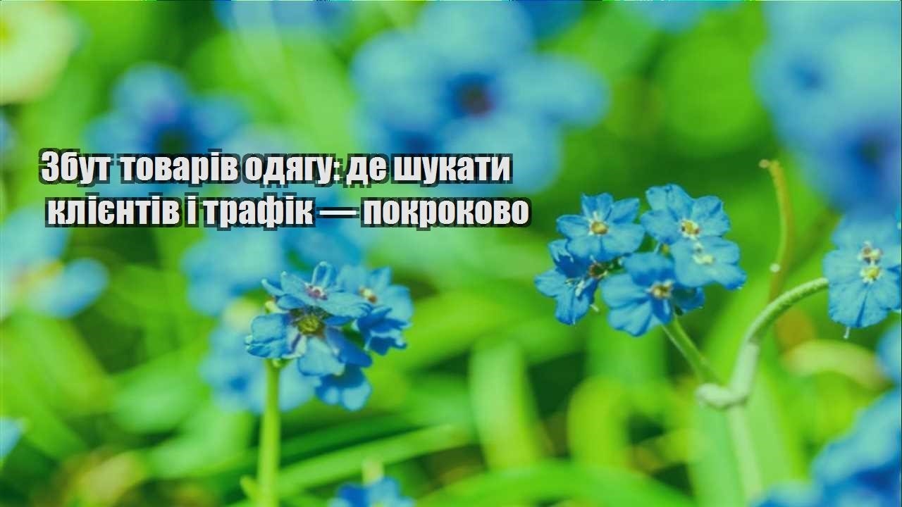 Детальніше про статтю Збут товарів одягу: де шукати клієнтів і трафік — покроково