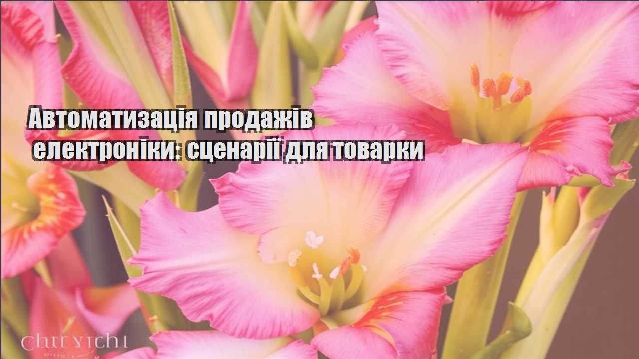 Детальніше про статтю Автоматизація продажів електроніки: сценарії для товарки